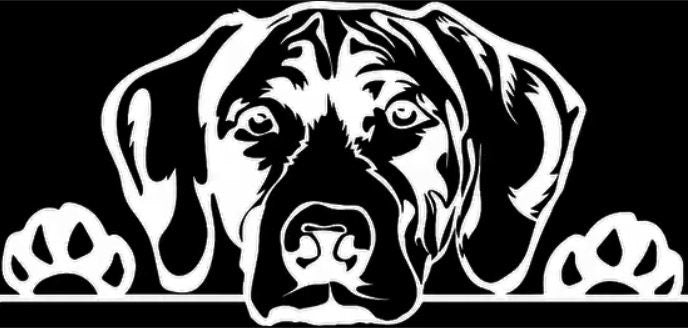 Peeking Lab Sticker Decal | Labrador Retriever | Stick on Car, Truck, Van, Mirror, Wall, Laptop Lid, Stick on Canvas to Create Art Decor